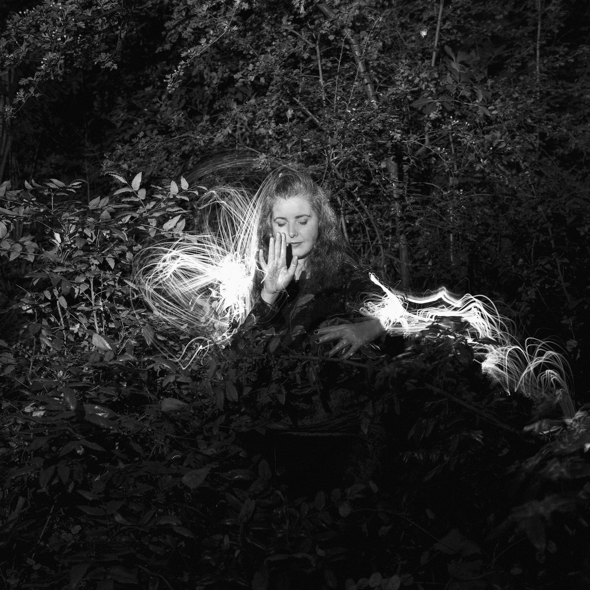 WILD ANIMA – PHYTOSYNTHESIS